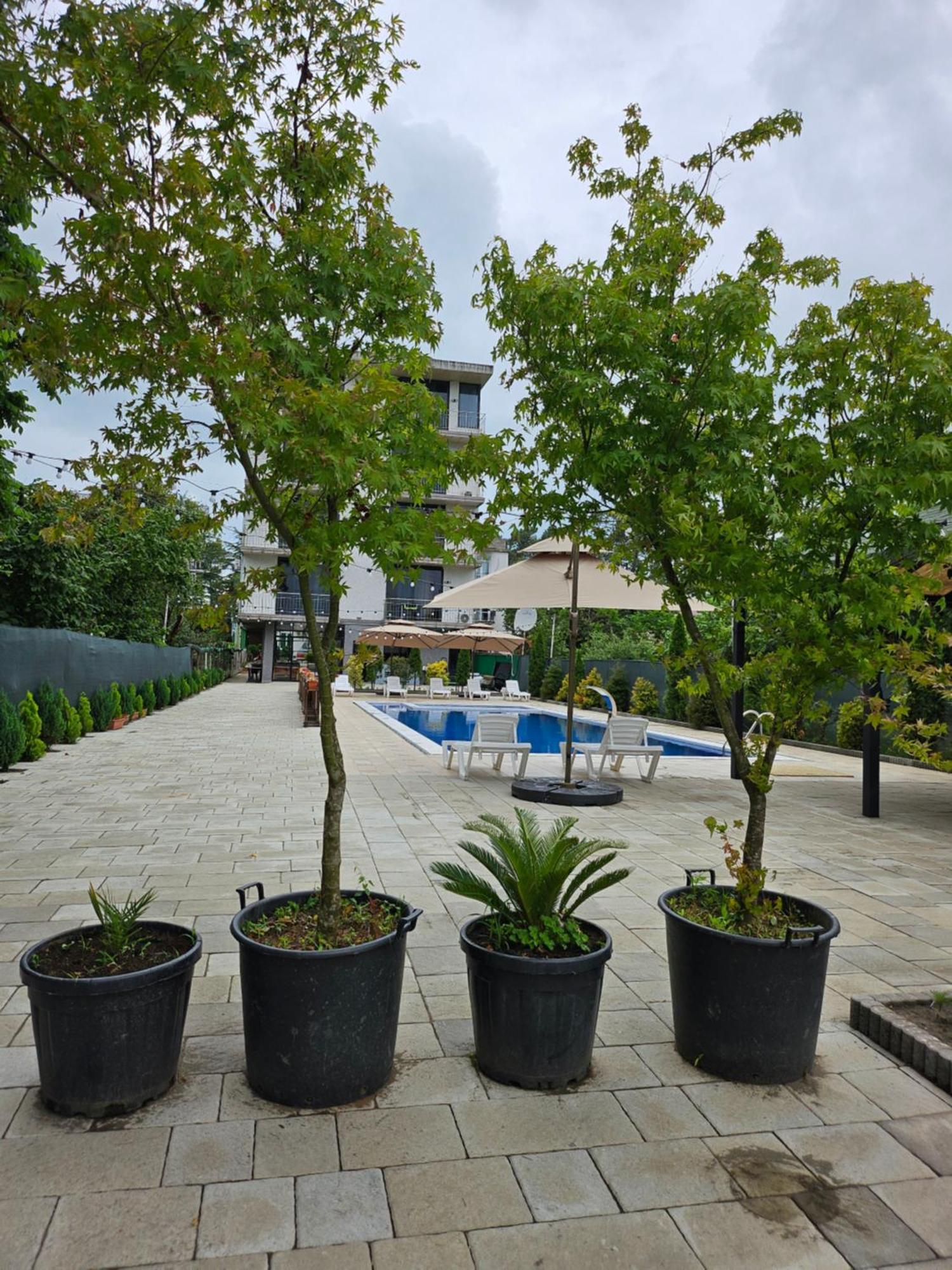 Green Terrace Kobuleti Exterior photo